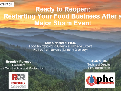 Image of slidedeck from webinar