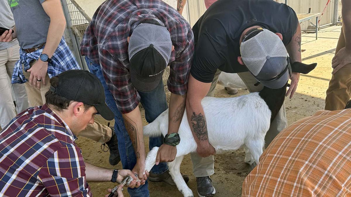 NC State Extension U.S. Army civil affairs soldiers training Fort Liberty