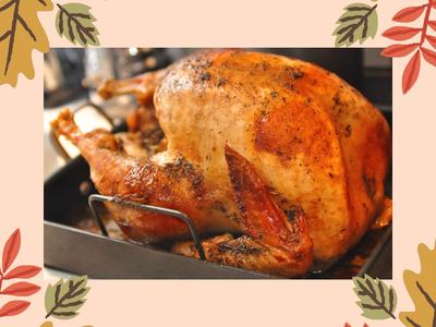 Photo of roasted turkey in pan