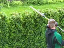 Shaping Hedges