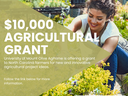 A person crouches while gardening, with a green triangle overlay displaying the text: “$10,000 Agricultural Grant. University of Mount Olive AgPrime is offering a grant to North Carolina farmers for new and innovative agricultural project ideas. Follow th