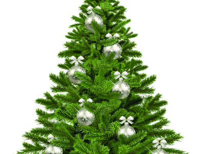 christmas-tree-Image by Monika Grafik from Pixabay