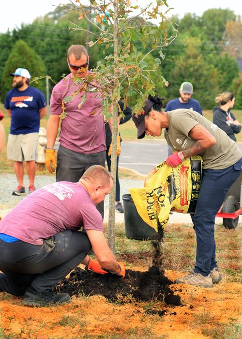 3 leaders demonstrating how to pack soil around newly planted tree