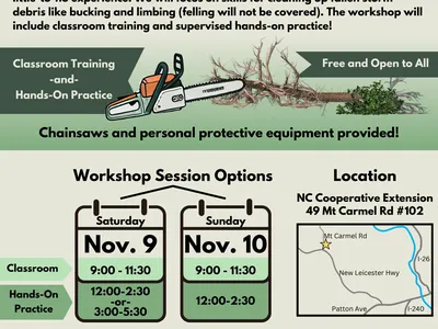 Beginner Chainsaw Skills Workshop poster, Asheville; Nov. 9 & Nov. 10; go.ncsu.edu/wnc-chainsaw-workshop
