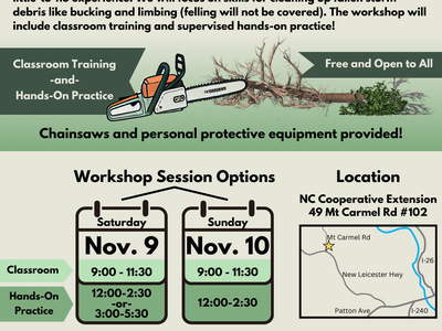 Beginner Chainsaw Skills Workshop poster, Asheville; Nov. 9 & Nov. 10; go.ncsu.edu/wnc-chainsaw-workshop