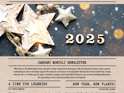 Lincoln County Cooperative Extension newsletter cover with "NEWSLETTER" headline, "2025", January 2025