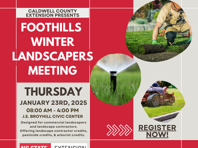 Flyer announcing Foothills Winter Landscapers meeting, red background with beige blocks with written info and 3 circles with turf and grass images