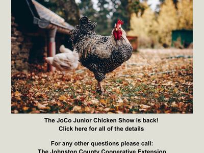 2025 JoCo Junior Chicken Show, Saturday May 10 at 10:00 am; rooster standing on fallen leaves