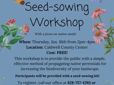 blue flyer with flowers with information about workshop