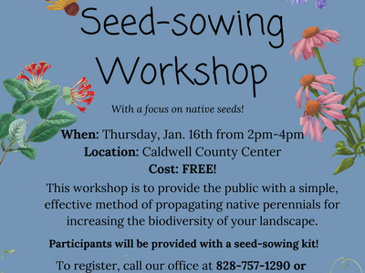 blue flyer with flowers with information about workshop