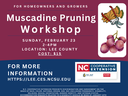 2025_Muscadine Pruning (Facebook Post Graphic)
