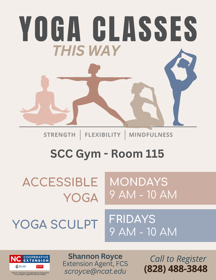 2026 Yoga Classes Flyer