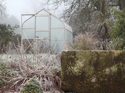 Small translucent greenhouse amid frosted garden plants and a moss-covered stone wall