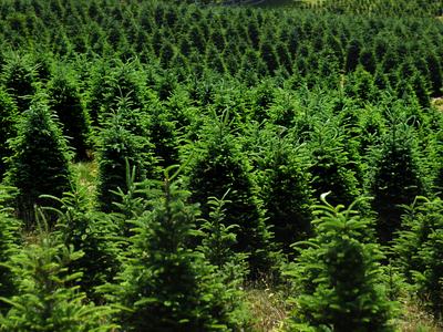 NC State Extension tourism support Tourism Extension