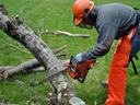 Worker in safety gear cutting a fallen tree branch with a chainsaw on grass