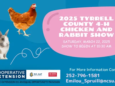 Chicken and Rabbit Show Banner