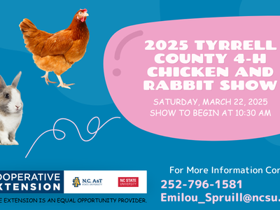 Chicken and Rabbit Show Banner