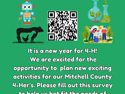 2025 4-H Interest Survey