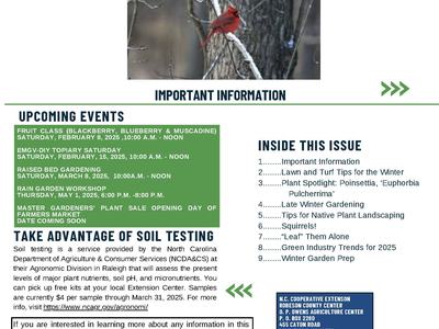 newsletter