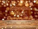 December 2024 Newsletter