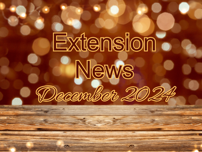 December 2024 Newsletter