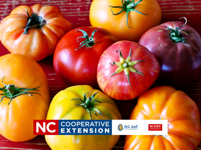 growing heirloom vegetables