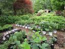 Nursery in Macon County