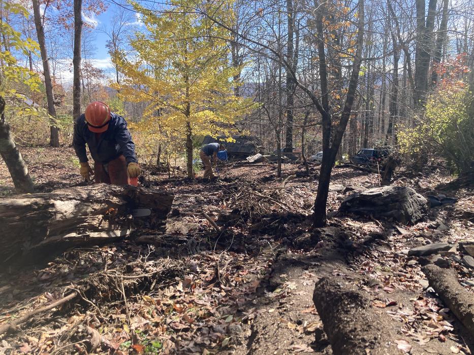 people with chainsaws doing post-hurricane clean up work