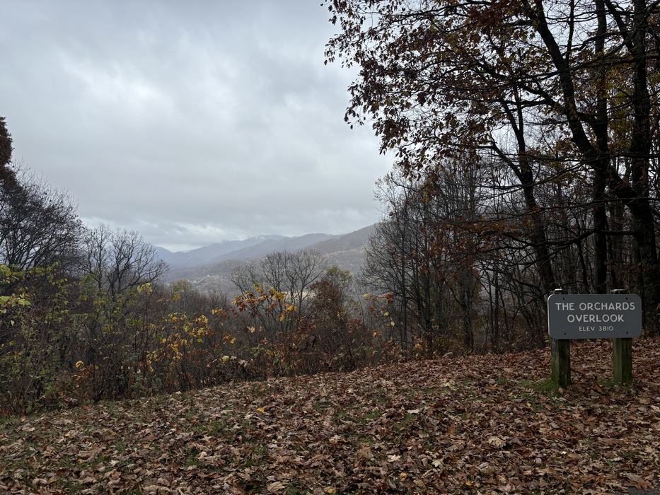 The Orchards Overlook