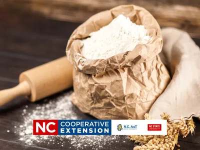 types of flour