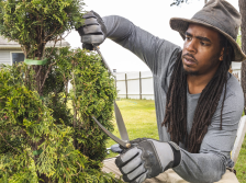 Image courtesy of Mike Gibson