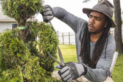 A man trims a topiary bush.