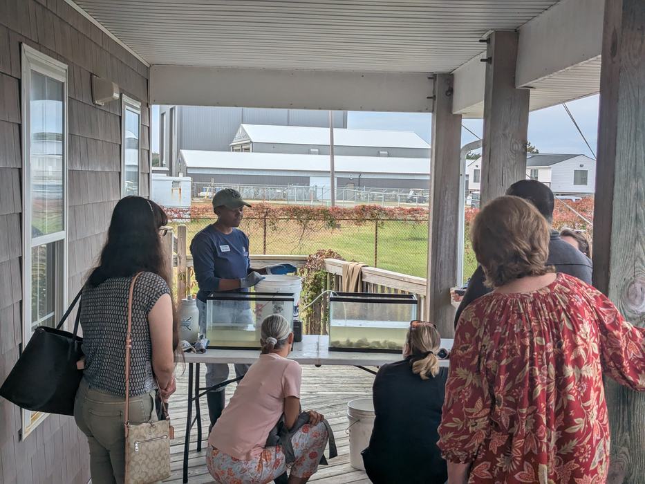 Instructor showing aquatic specimens in tanks to a small group on a covered porch