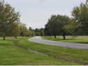 Curving paved road lined with evenly spaced trees and grassy fields