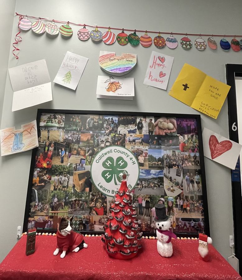 homemade cards hanging above a 4-H picture