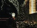 Hedge decorated with lights