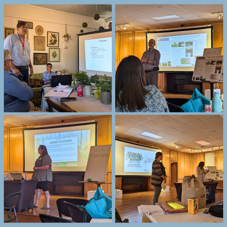 Four-panel collage of people giving presentations with projected slides in a meeting room