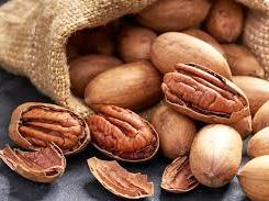 Pecans in the shell and some cracked