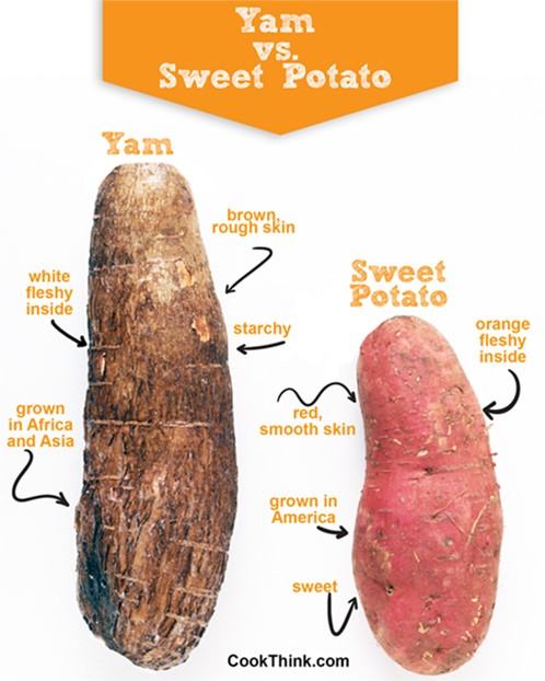 sweet potato vs. yam