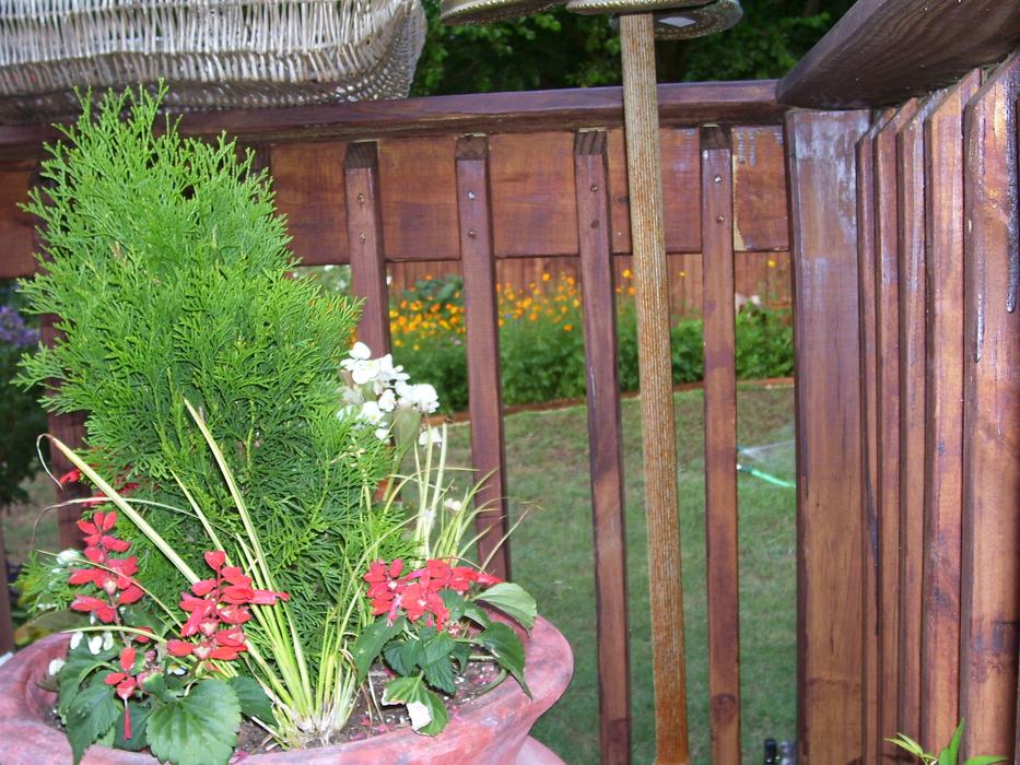 container plant on deck