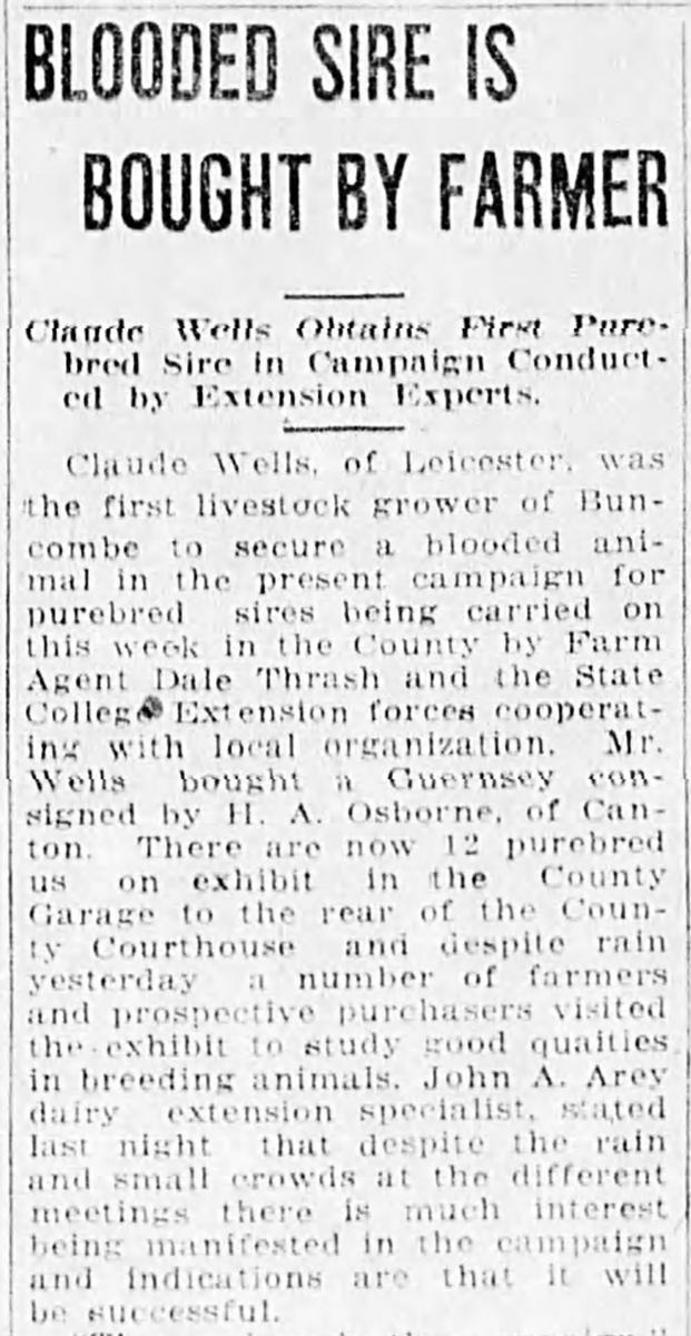 Newspaper article about Claude Wells being the first farmer in Buncombe County to buy a pure bred dairy animal.