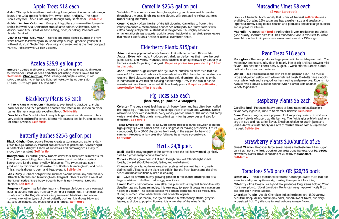 inside of trifold plant sale brochure