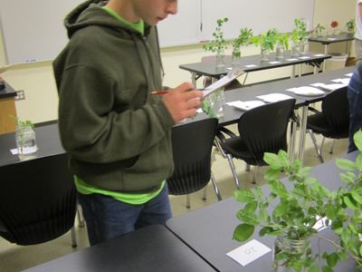 kid identifying plants