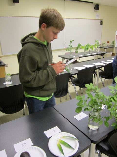 kid identifying plants