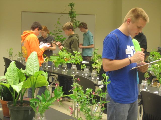 Students observing potted plants on tables and taking notes