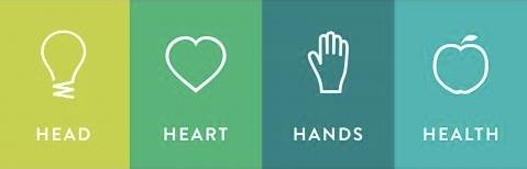 Four colored panels: lightbulb "HEAD", heart "HEART", hand "HANDS", apple "HEALTH"