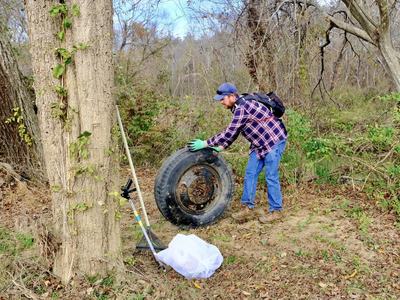 Man in plaid shirt rolling a large discarded tire near trees during outdoor cleanup