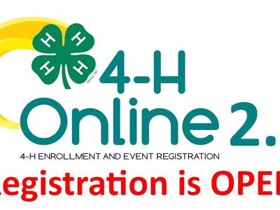 Banner for 4-H Online