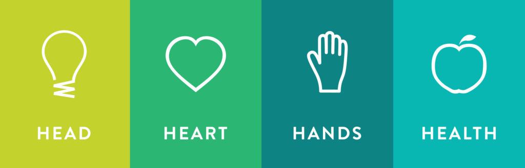 The 4 "H's" of 4-H: Head, Heart, Health, and Hands