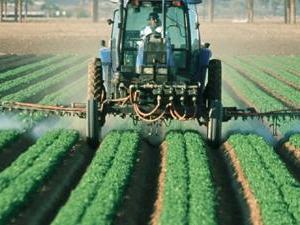 Tractor spraying liquid over evenly spaced rows of green crops